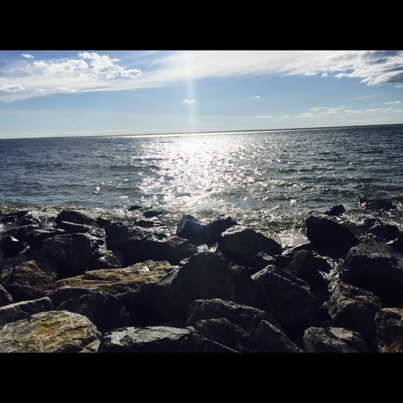 Meet your Posher, Farina - Picture 1 of 1